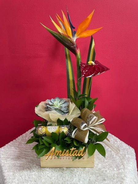 H14 - Mini arreglo con planta y chocolates