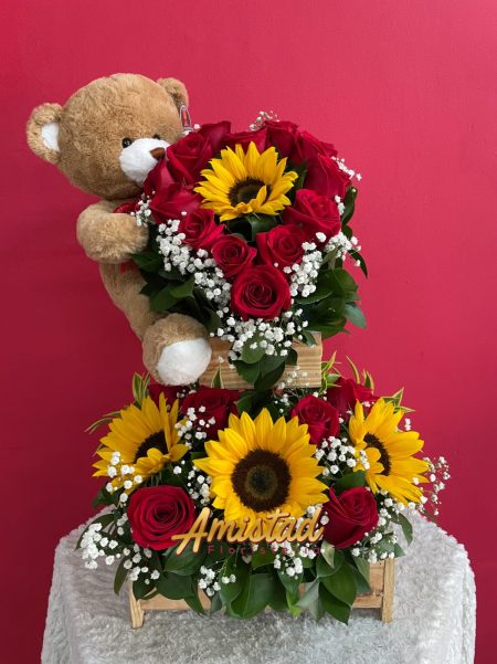 AA 10 - Arreglo con rosas, girasoles y peluche.