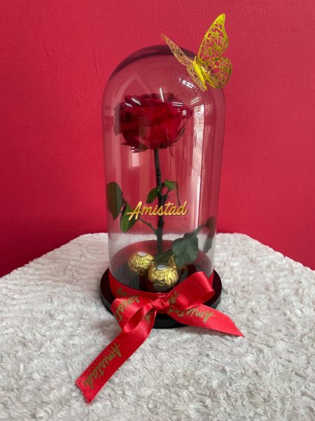 AA 23 - Rosa Preservada