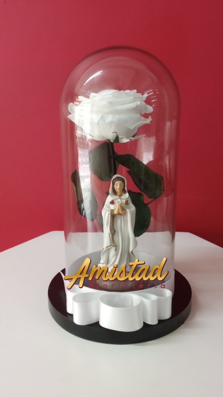 CD12 - Rosa preservada en domo con virgen.