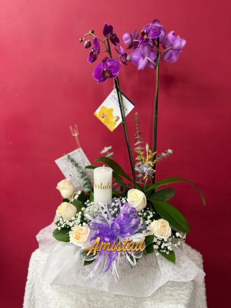 CD16 - Planta phalaenopsis con crisálida, rosas y velón.