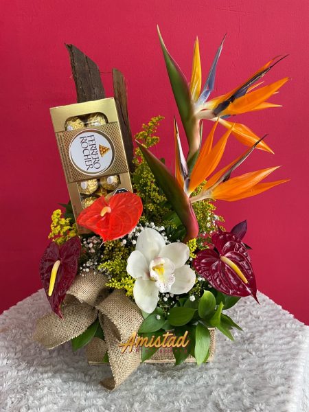H20 - Arreglo floral con anturios, aves del paraíso, cymbidium y chocolates.